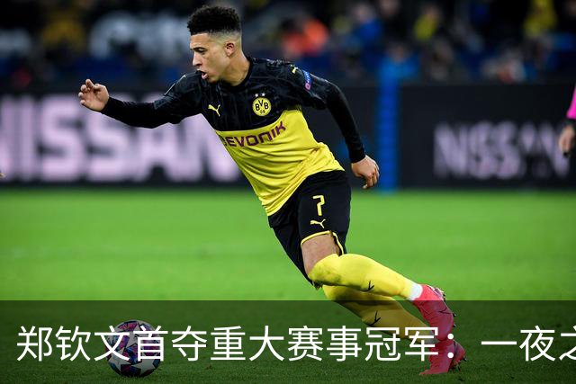 郑钦文首夺重大赛事冠军：一夜之间的三大喜讯与挑战